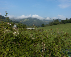 Moutain view. Moutain view