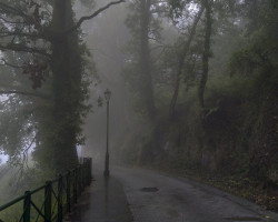 Fog after the rain in Tineo. Fog after the rain in Tineo.