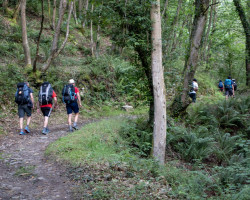 Pilgrims in the forest. Pilgrims in the forest